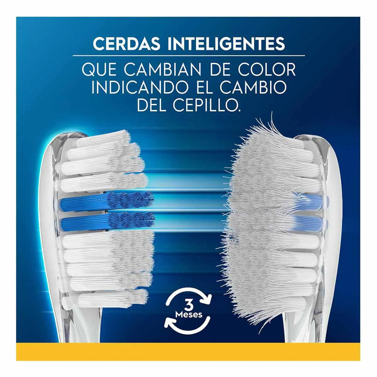 Cepillo de Dientes Oral-B Family Pack 5 Unidades