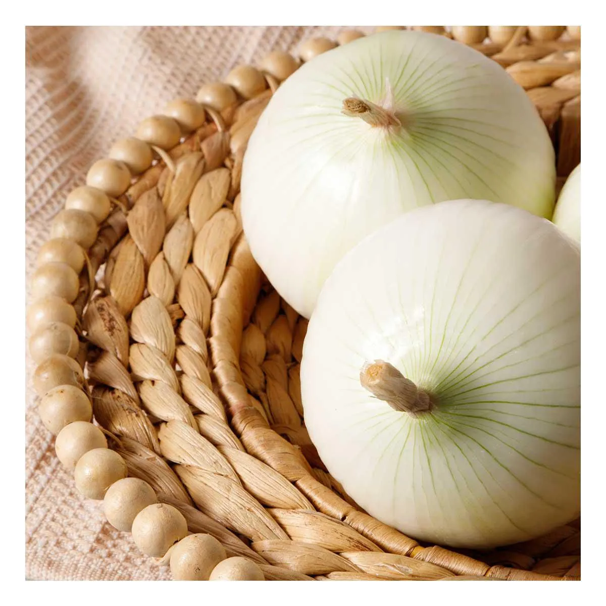 Cebolla Blanca por kg