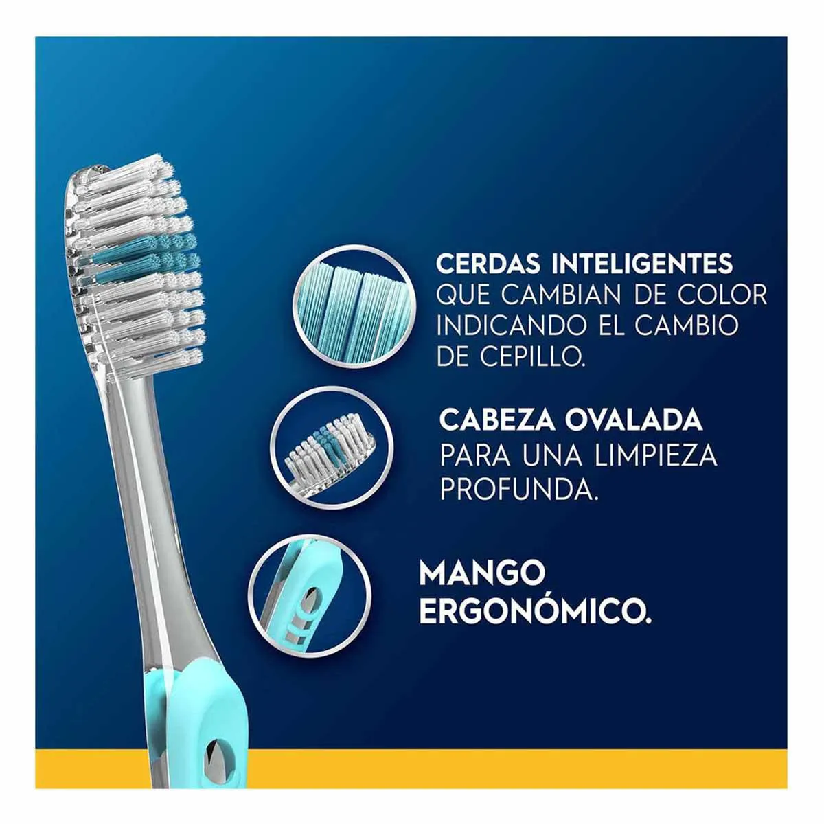 Cepillo de Dientes Oral-B Family Pack 5 Unidades