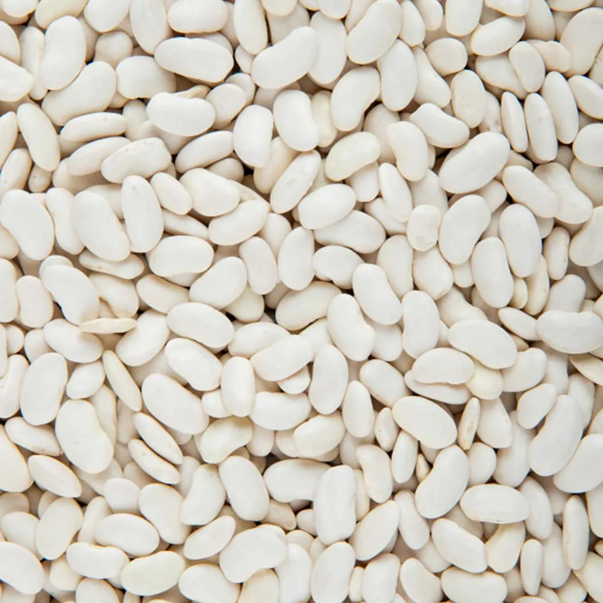 Alubia Calidad Bueno Chica 500g