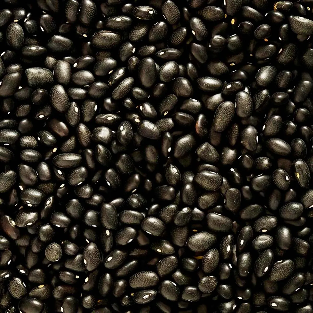  Frijol Negro Michigan Calidad Bueno 900g