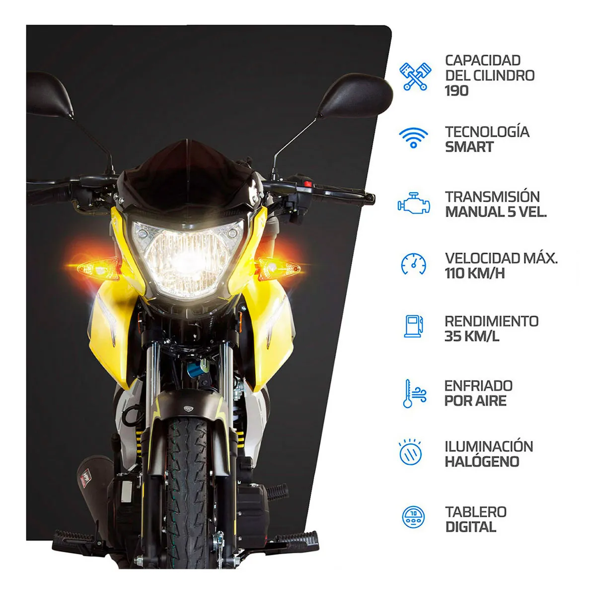 Motocicleta VENTO Ryder 190
