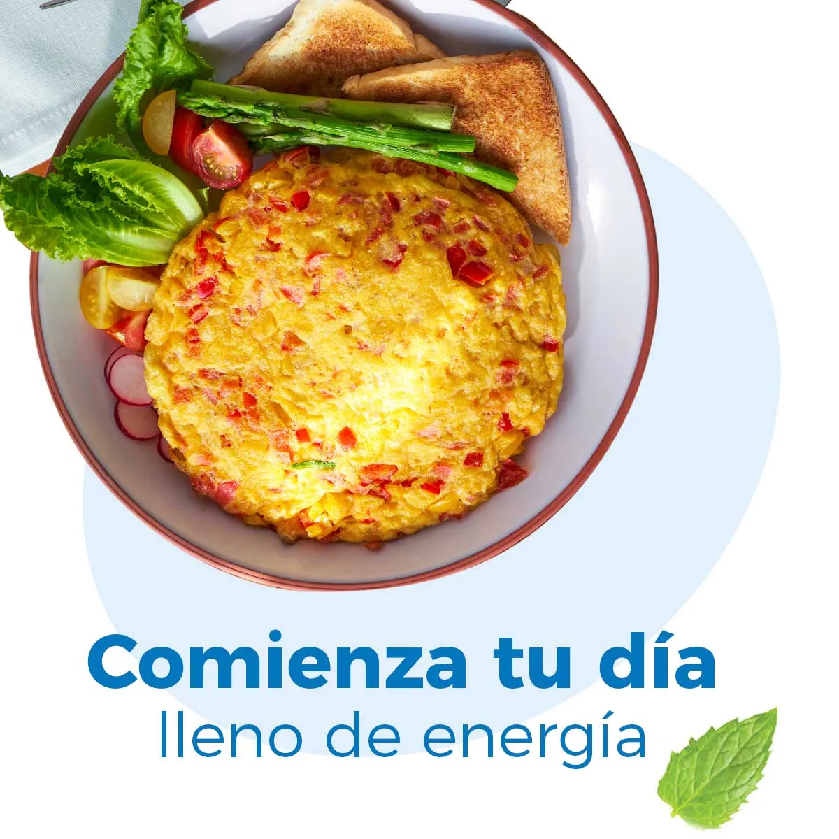 Huevo San Juan Blanco 18 Piezas