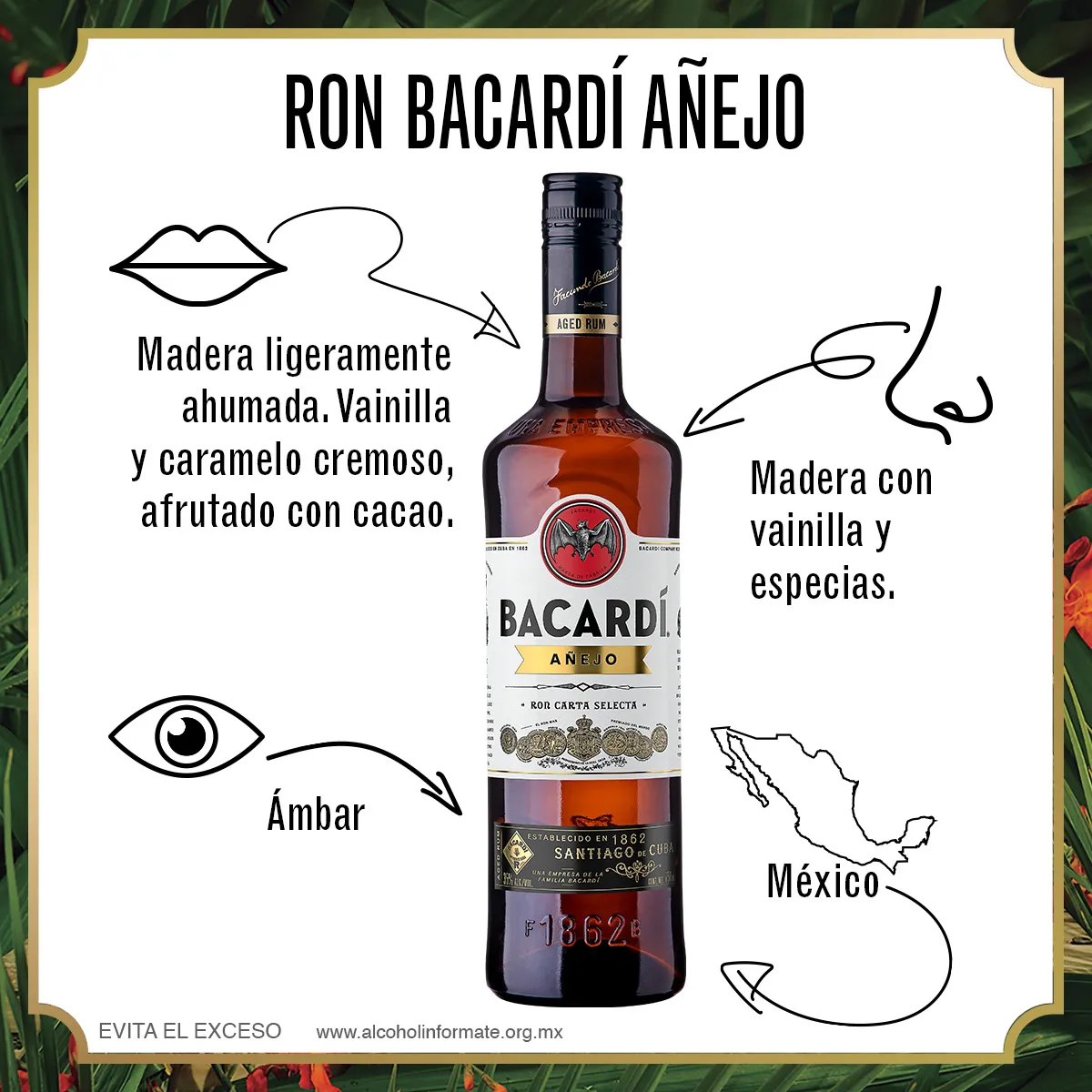Ron Bacardí Añejo 750ml